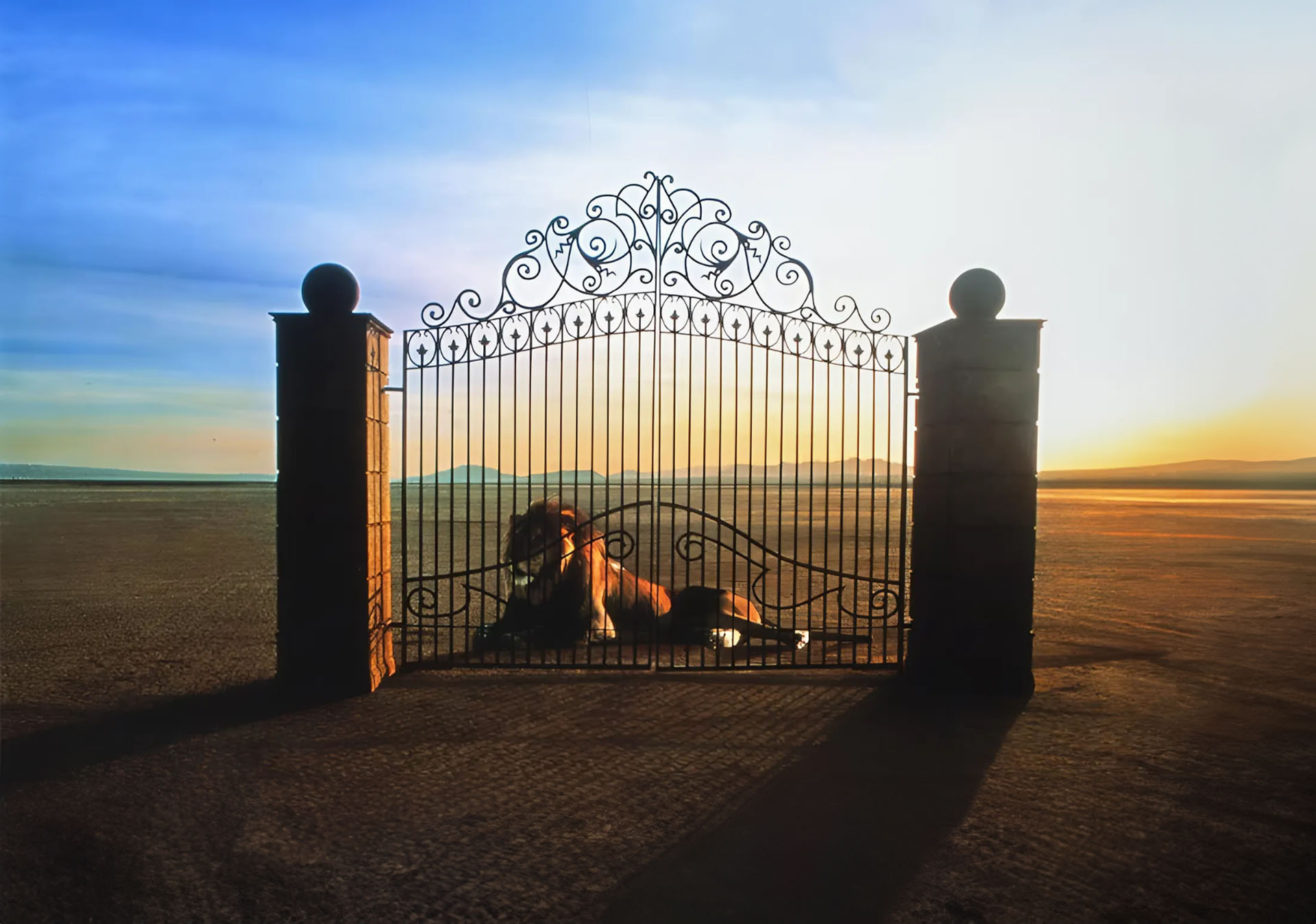 The history of FAAC: 1985