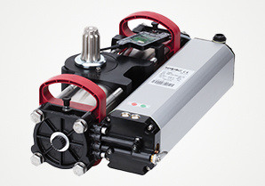 FAAC S800 ENC Swing Gate Automation