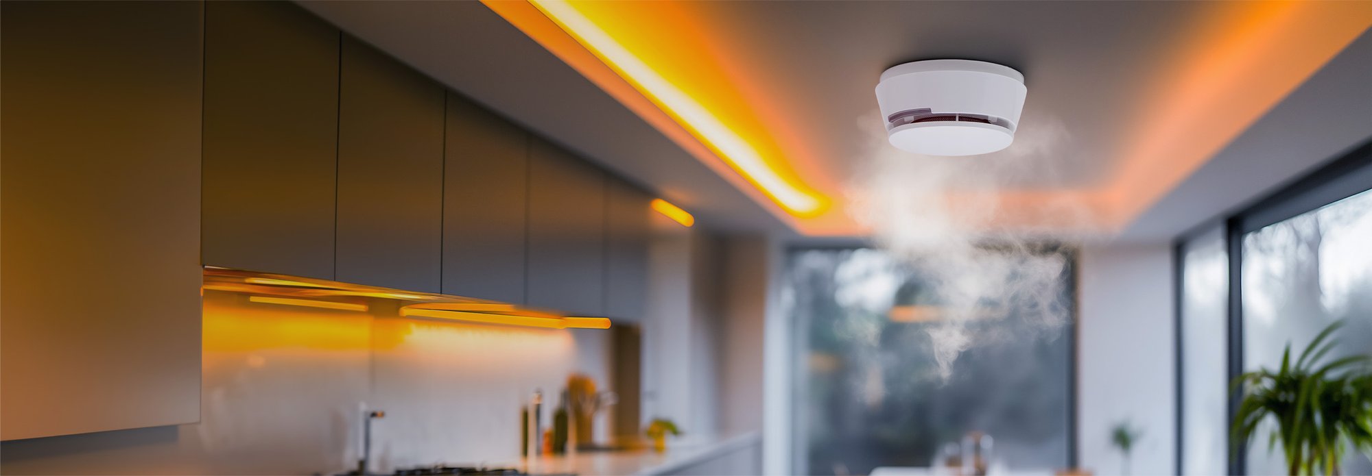 Fire Detection Systems